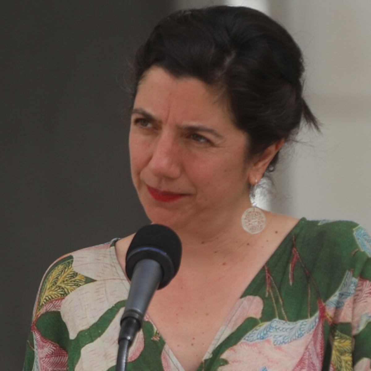 Ministra Etcheverry critica alegoría de armas de Kast y Kaiser Ministra Etcheverry critica alegoría de armas de Kast y Kaiser