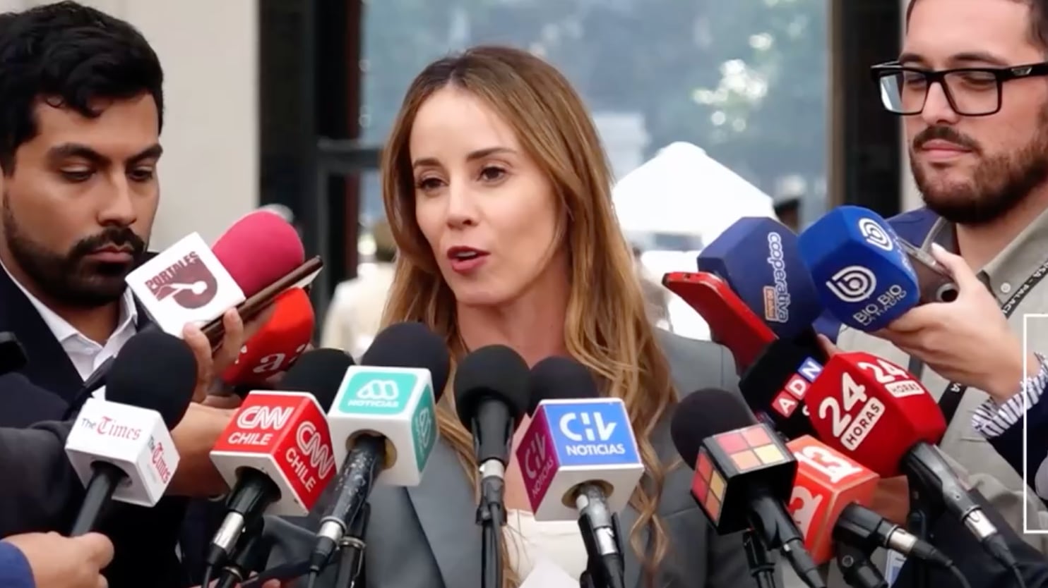 La ministra vocera de Gobierno, Mara Sedini, indicó que el Ejecutivo responderá por "vías institucionales"