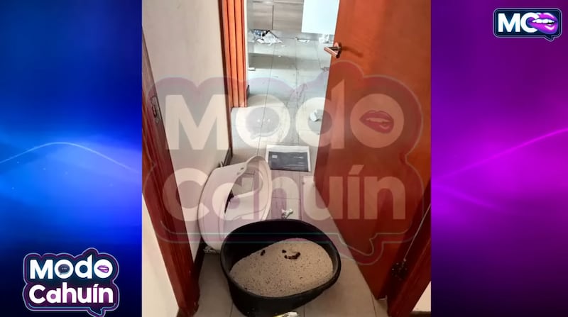 Departamento de Andrea Marocchino y Pancha Merino | Captura: Modo Cahuín