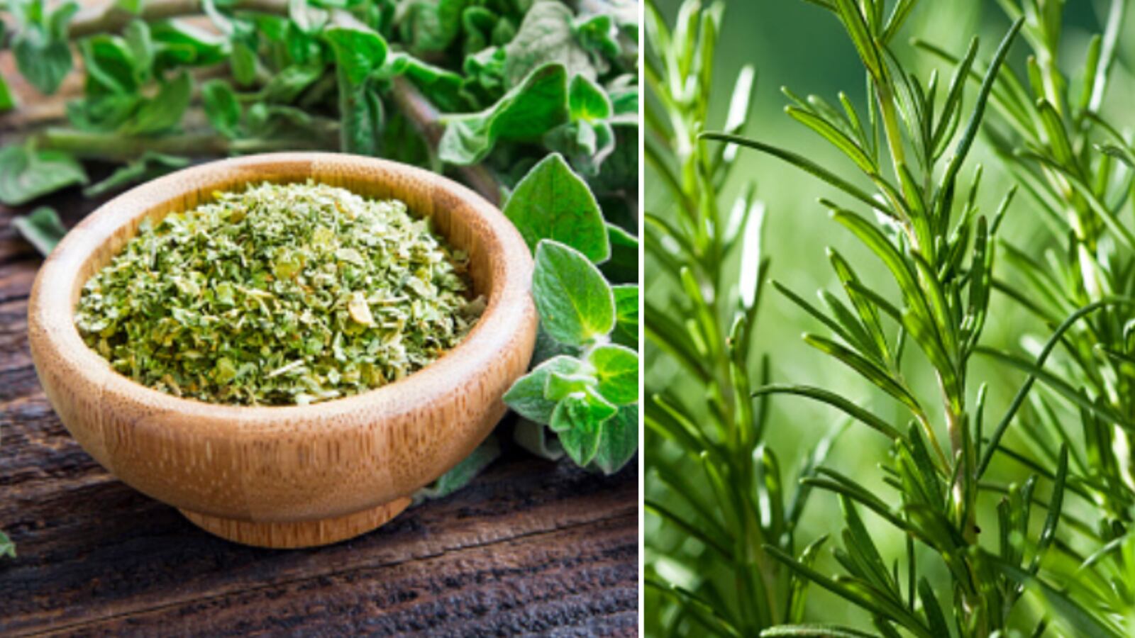 Shampoo anticanas natural de romero y orégano