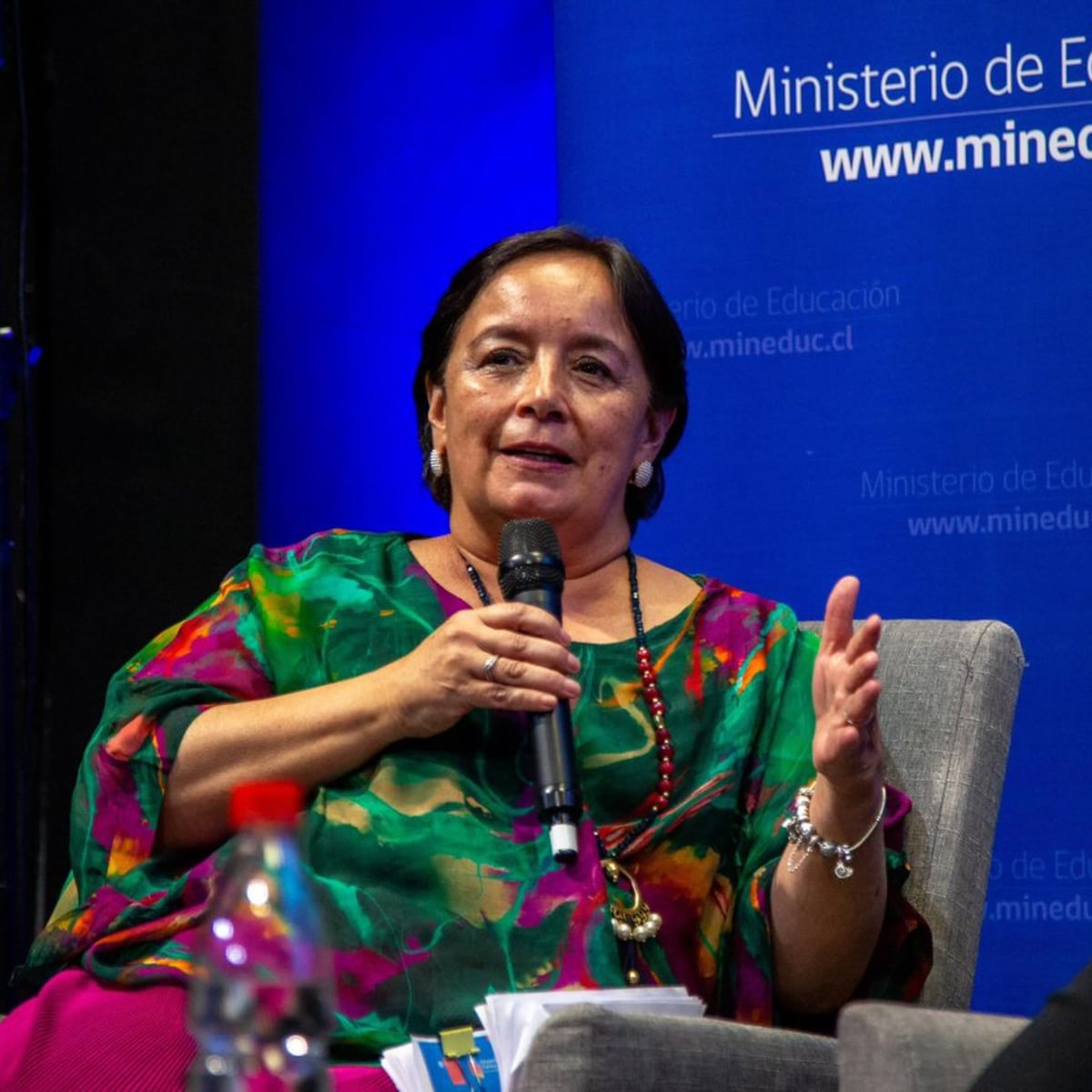 Senadora Aravena llama a proteger la educación pública Senadora Aravena llama a proteger la educación pública