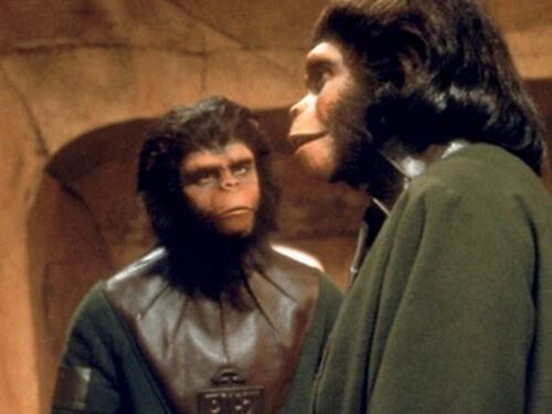 El orden en el que debes ver las películas del Planeta de los Simios: Desde el clásico original hasta la nueva cinta en cines