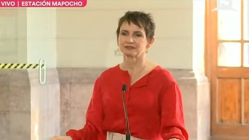 La ministra del Interior votó este domingo en el centro de votaciones de la Estación Mapocho.