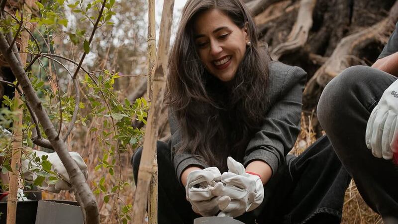 “Viña se construye con voluntad y acción”: Alcaldesa Macarena Ripamonti confirma el inicio de la rearborización de la Ciudad Jardín