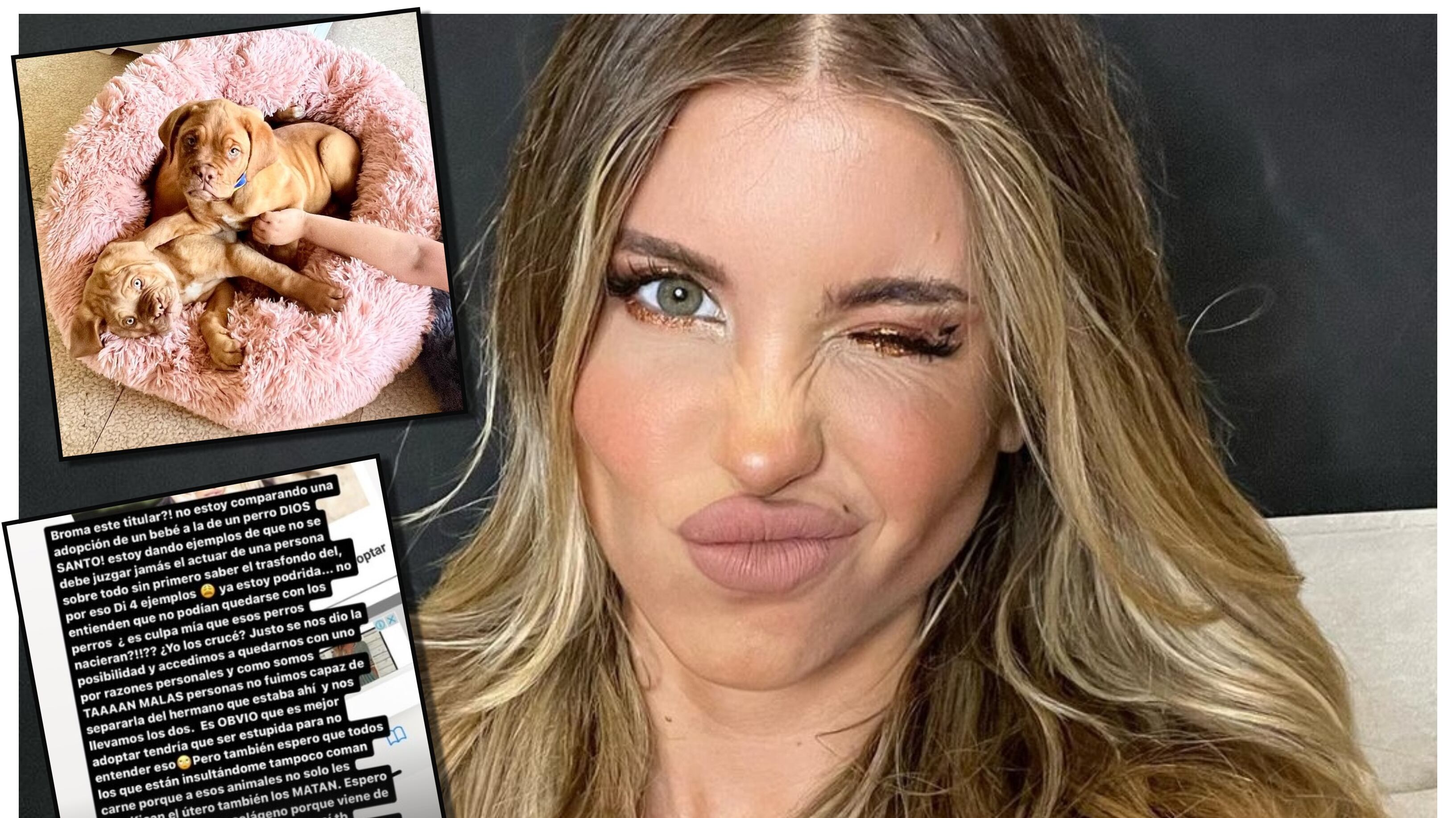 La influencer se descargó en contra de sus seguidoras de Instagram que le criticaron el comprar y no adoptar dos perros de raza Dogo de Burdeos.