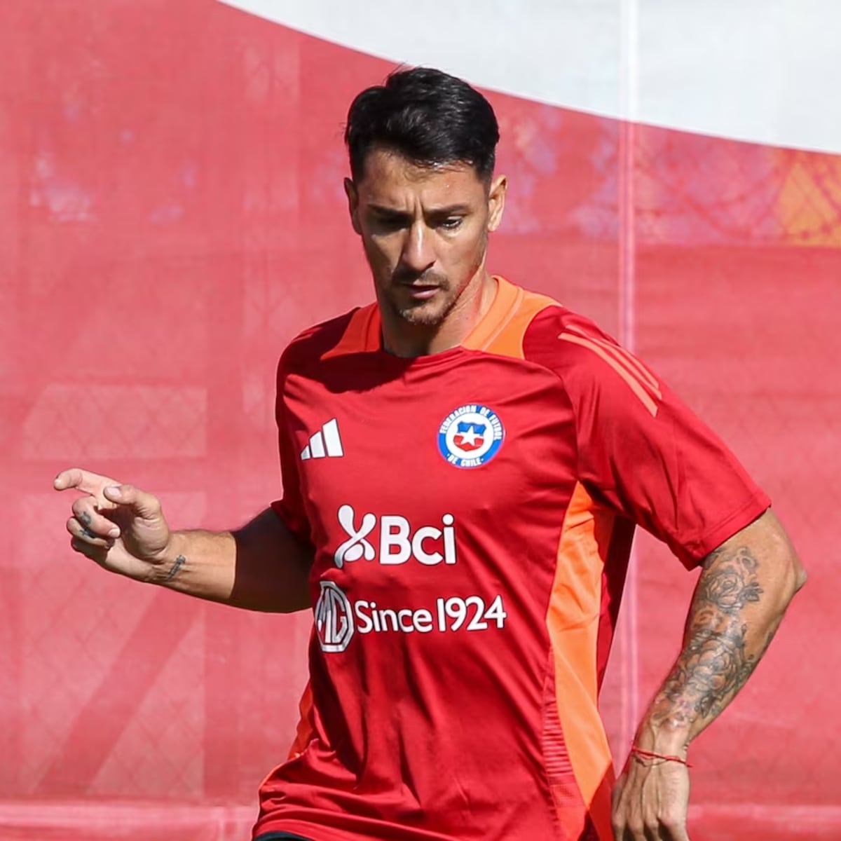 Fernando Zampedri agradece el cariño de los hinchas chilenos Fernando Zampedri agradece el cariño de los hinchas chilenos
