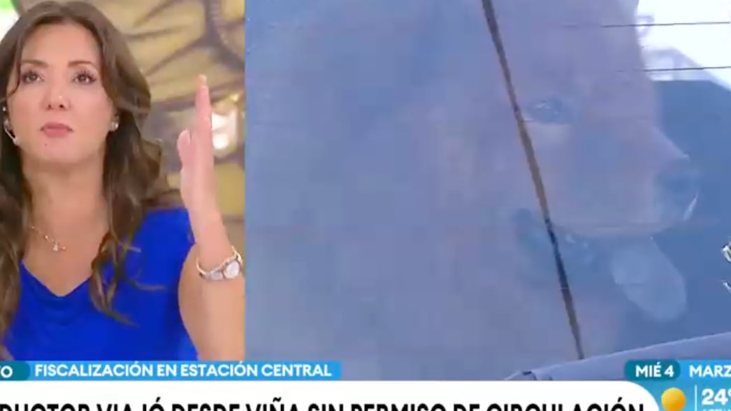 Manejaba auto con multas y mascotas