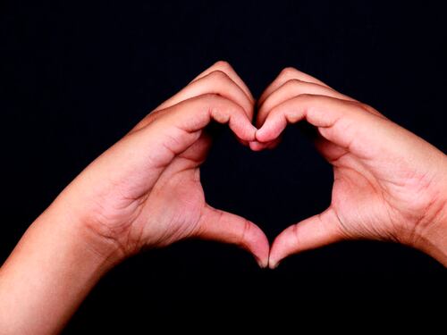 Aprendió lengua de señas para conquistarla, ahora preparan su boda y algo más