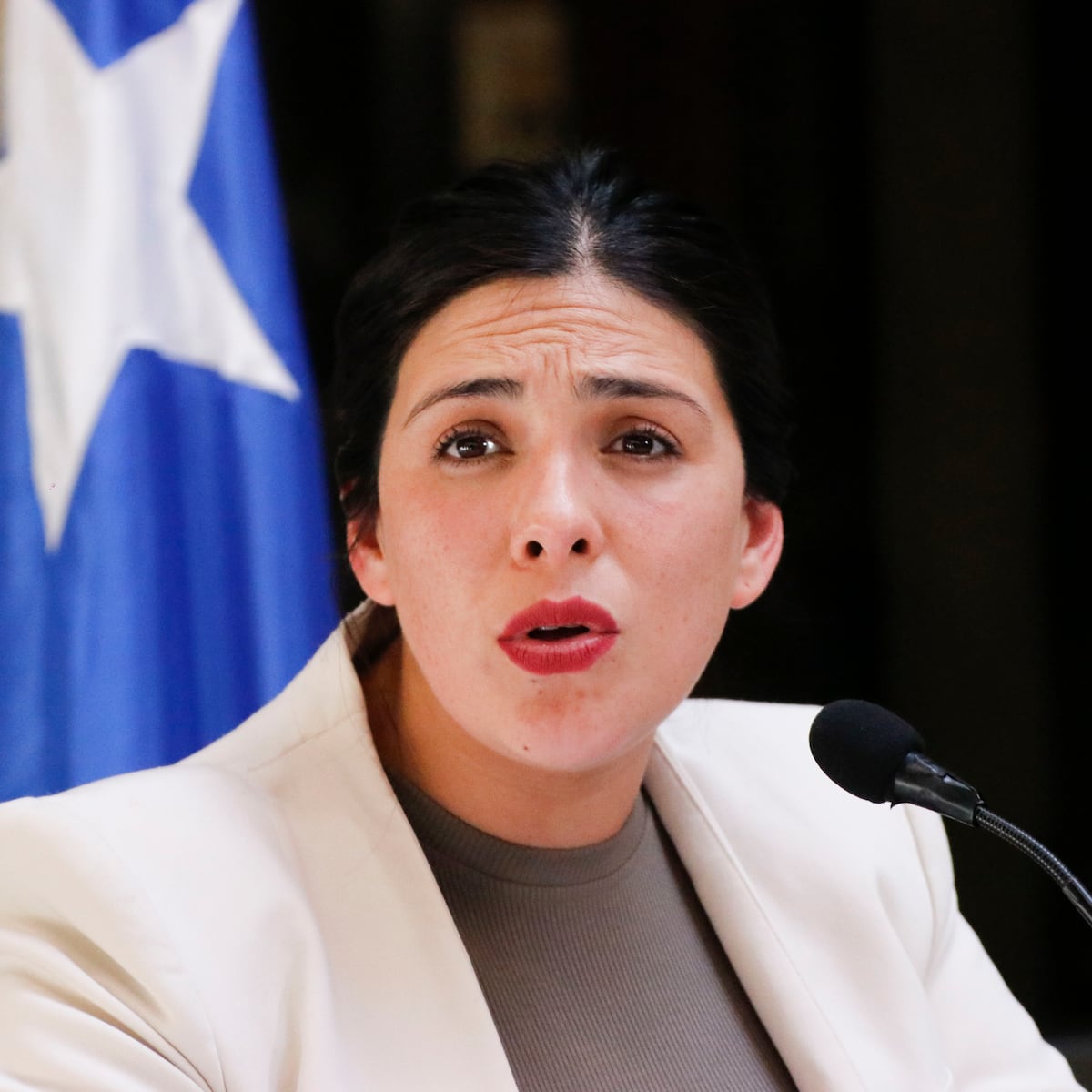 Indignación por allanamiento a diputada Karol Cariola en día de su parto Indignación por allanamiento a diputada Karol Cariola en día de su parto