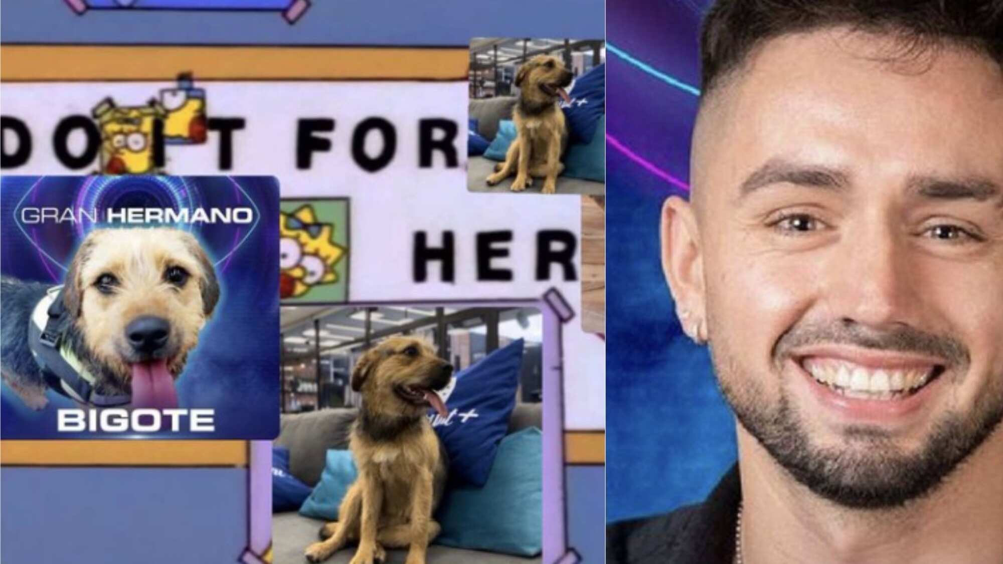 Fernando de "Gran Hermano" y Bigote | Captura