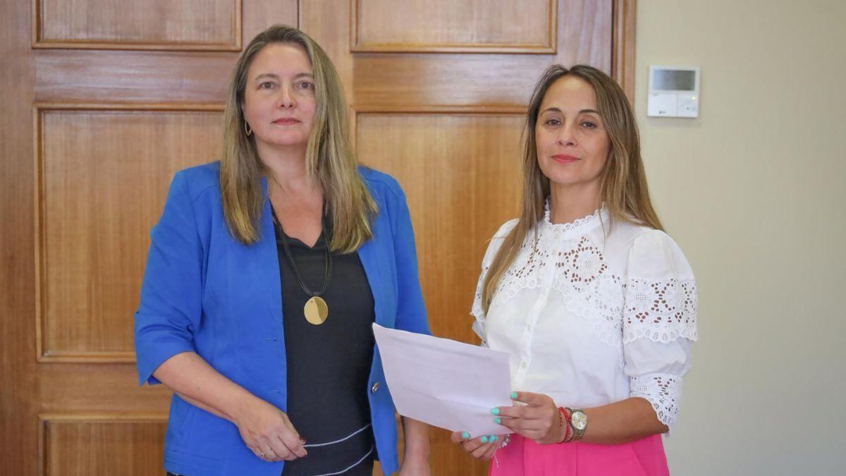 Día Internacional de Concienciación sobre el Autismo: Diputadas piden disminuir brechas en el acceso y atención para personas con autismo