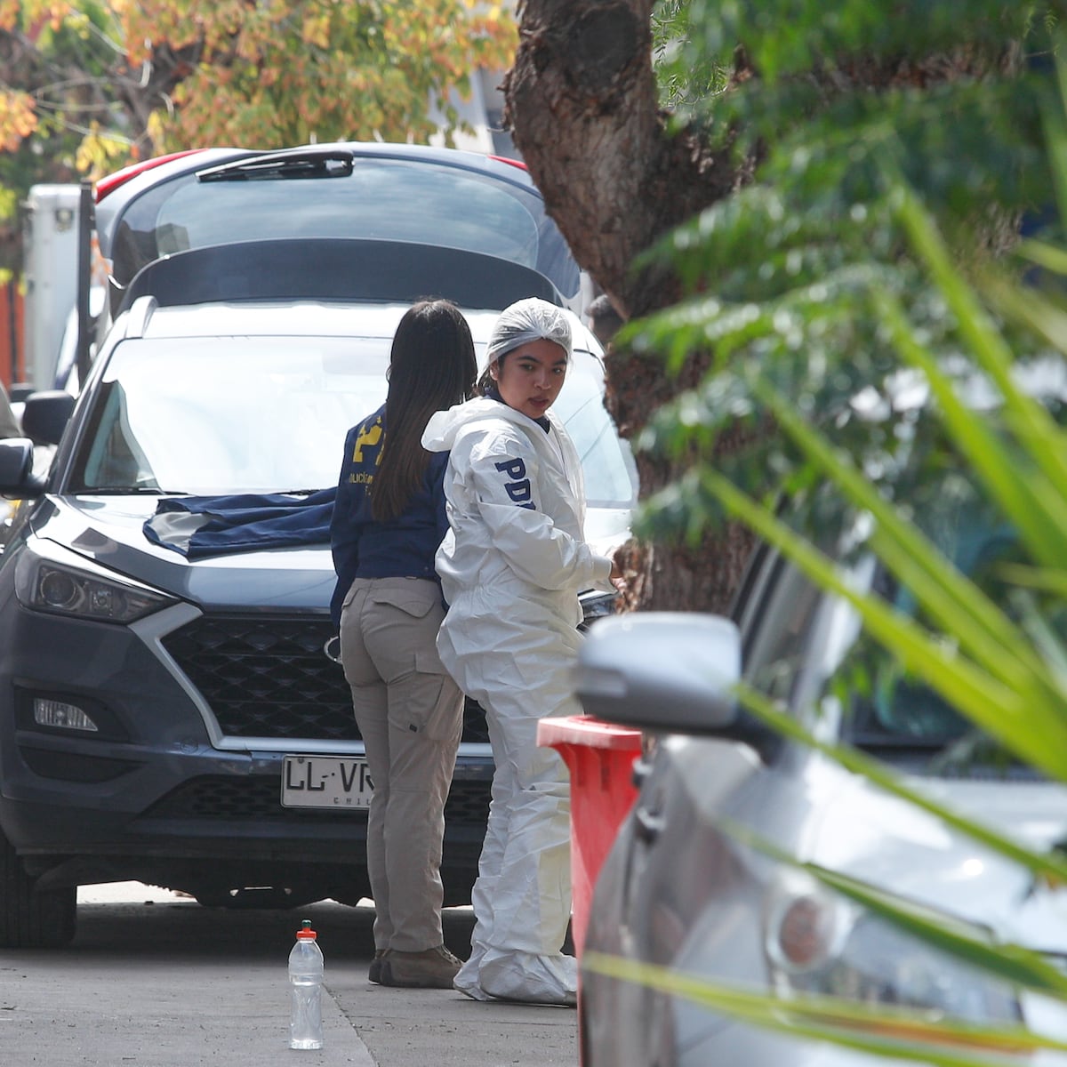 Escolares absueltos por legítima defensa en homicidio Escolares absueltos por legítima defensa en homicidio