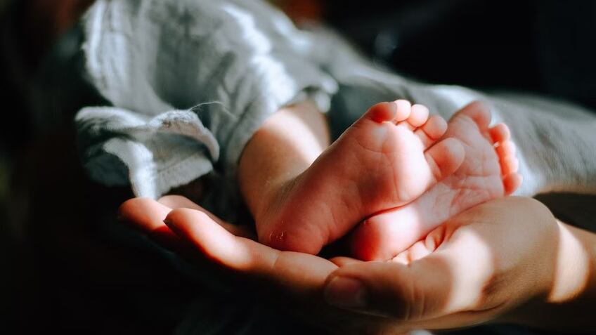 La familia no podía creer lo que estaba pasando