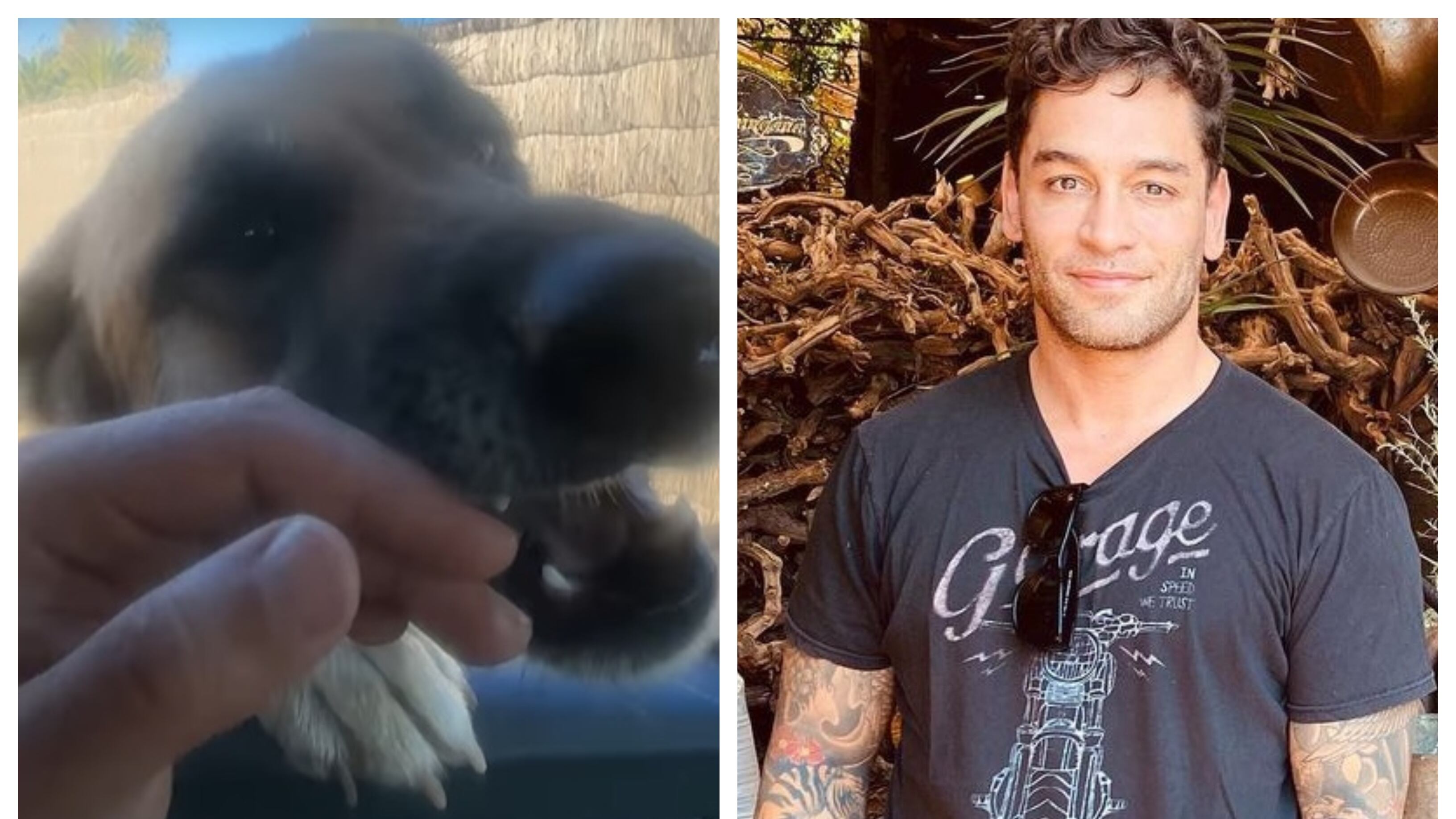 El bailarín brasileño se reencontró después de un año con su mascota perdida.