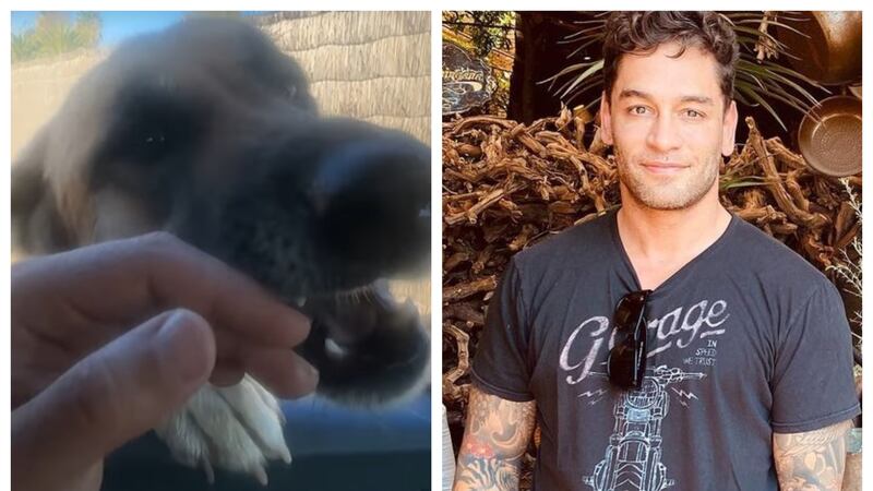 Thiago Cunha feliz porque halló a su mascota extraviada hace un año: “Esta perrita trae mucha felicidad para nosotros”