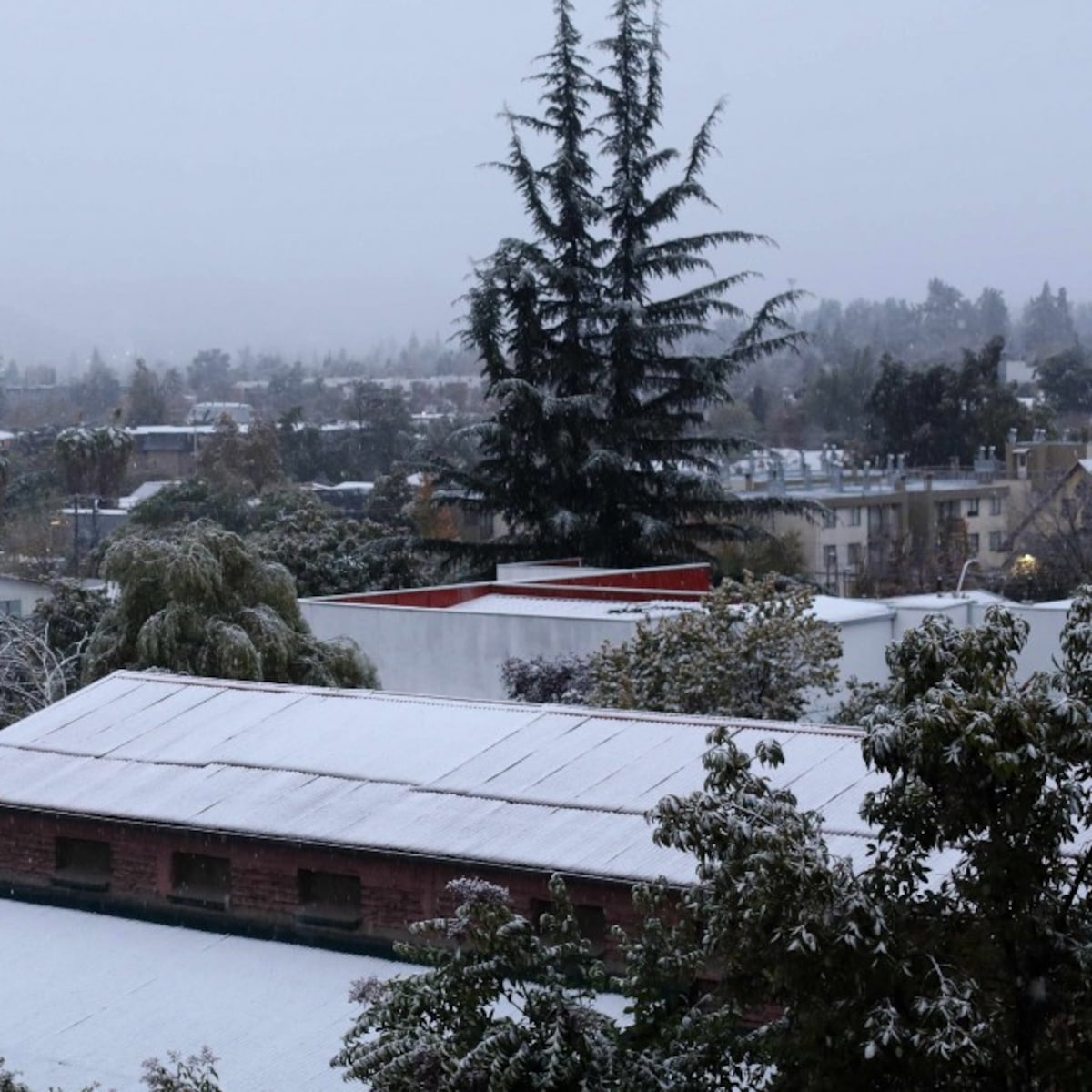 Jaime Leyton anticipa hasta qué hora podría nevar en Santiago Jaime Leyton anticipa hasta qué hora podría nevar en Santiago