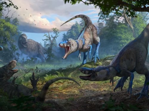 Descubrimiento sobre el Tiranosaurio Tex cambia todo lo que se sabía hasta ahora