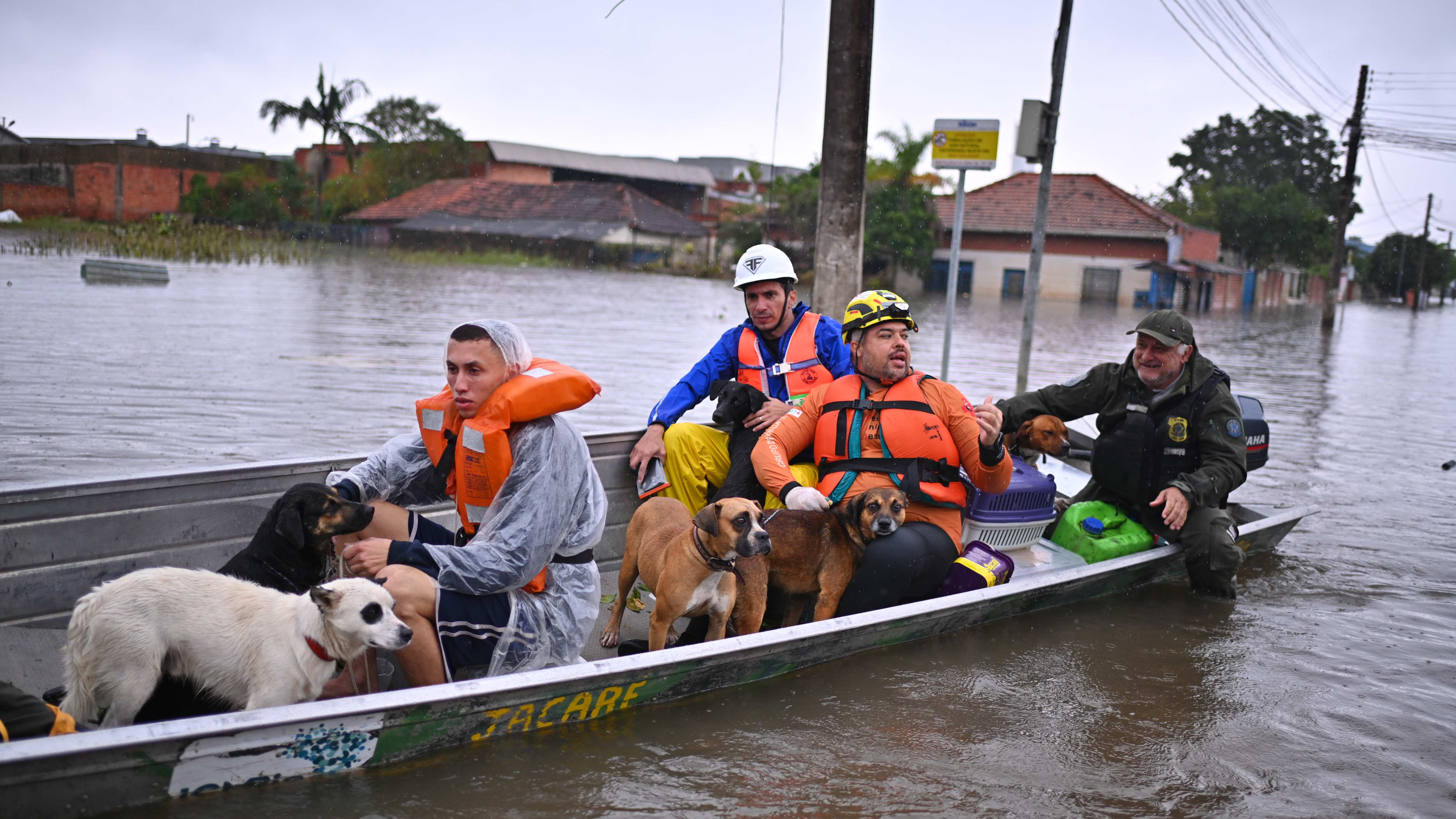 AME5201. CANOAS (BRASIL), 10/05/2024.- Habitantes con sus mascotas se transportan en una canoa en una zona inundada este viernes en Canoas, región metropolitana de Porto Alegre (Brasil). El número de muertos por las devastadoras inundaciones que castigan al sur de Brasil llegó a 116 este viernes y el Gobierno alertó sobre unas fuertes precipitaciones previstas para el fin de semana, que pueden agravar aún más una situación que ya es crítica. Las previsiones en algunas regiones del estado de Rio Grande do Sul es que las lluvias alcancen entre sábado y domingo un volumen de 115 milímetros, lo cual volverá a presionar el nivel de ríos que ya están desbordados, dijo el ministro de Información, Paulo Pimenta, en una rueda de prensa junto a otros miembros del gabinete. EFE/Andre Borges