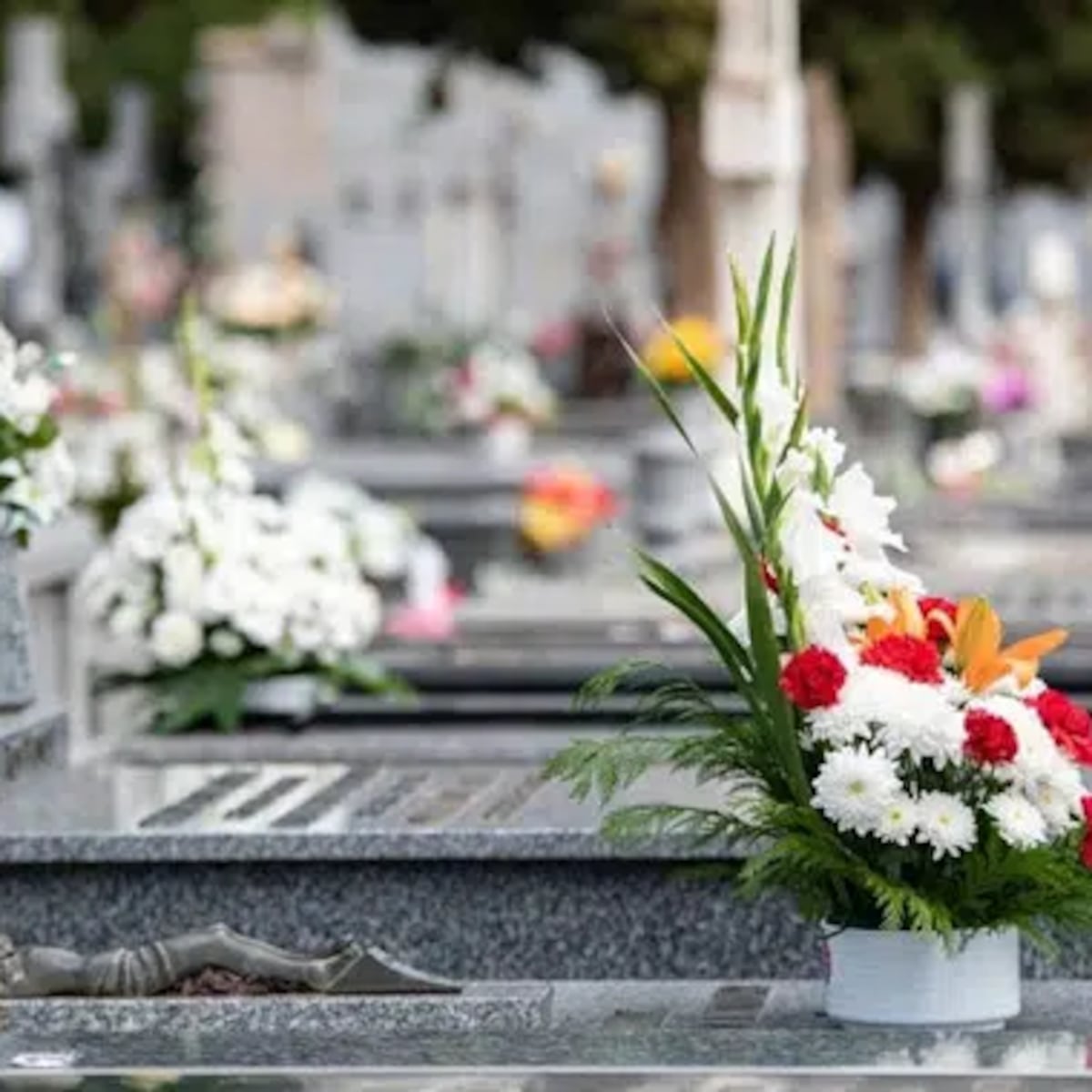 Presunto vendedor de flores viola a hombre en cementerio de Talcahuano Presunto vendedor de flores viola a hombre en cementerio de Talcahuano