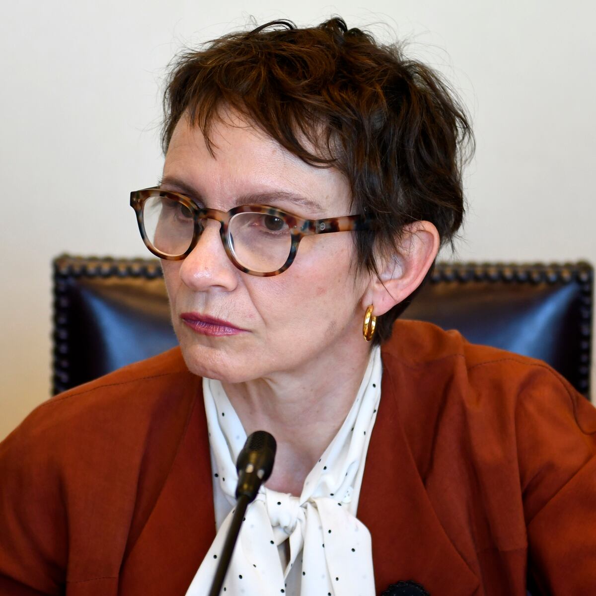 Carolina Tohá confirma extradición de alias ‘Gocho’ a Chile Carolina Tohá confirma extradición de alias ‘Gocho’ a Chile