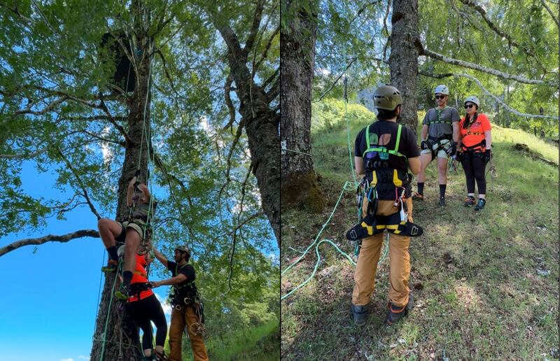 Tree climbing junto a Ciclo Vertical Experiencias.