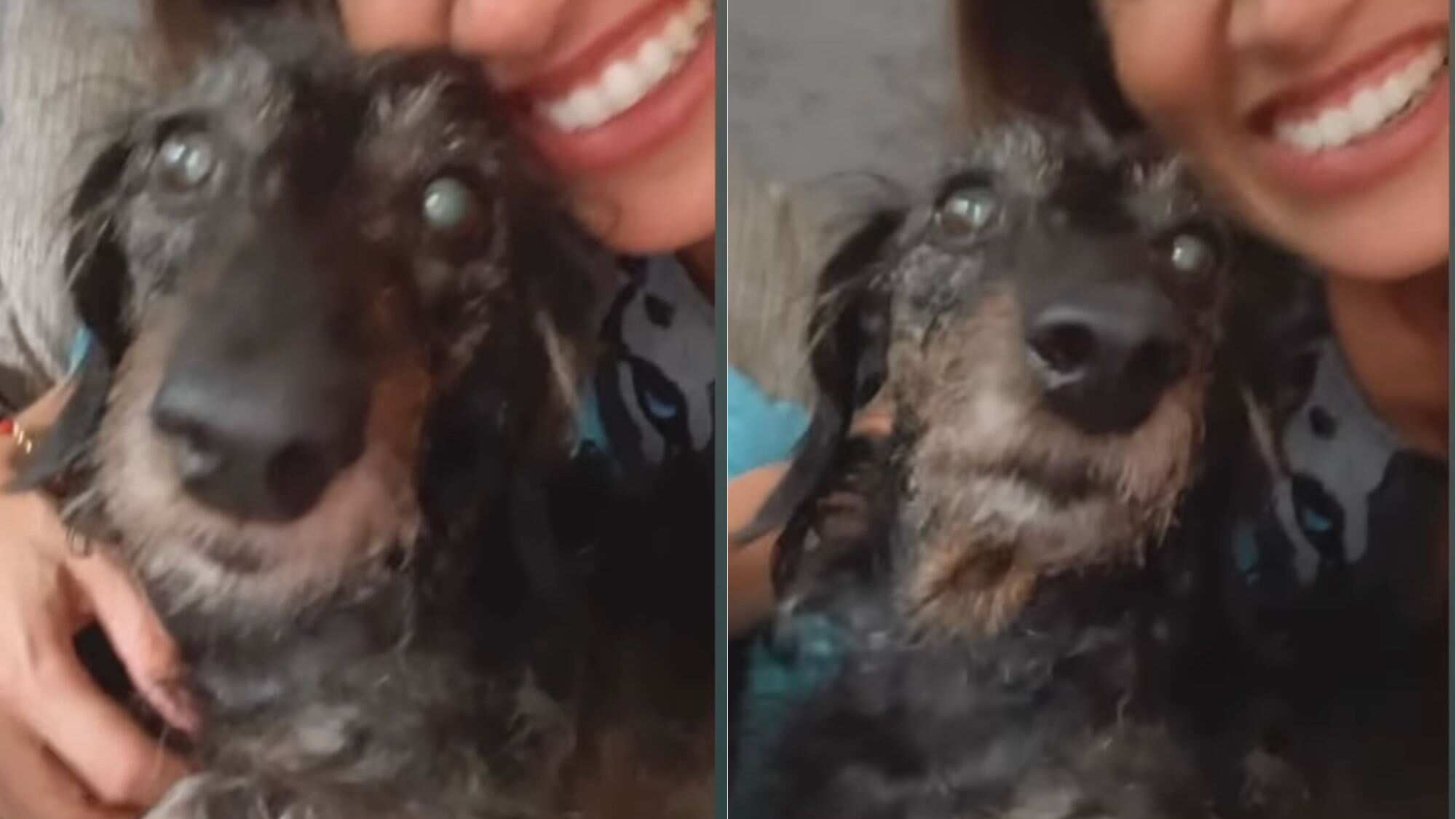 Yamila Reyna | Instagram