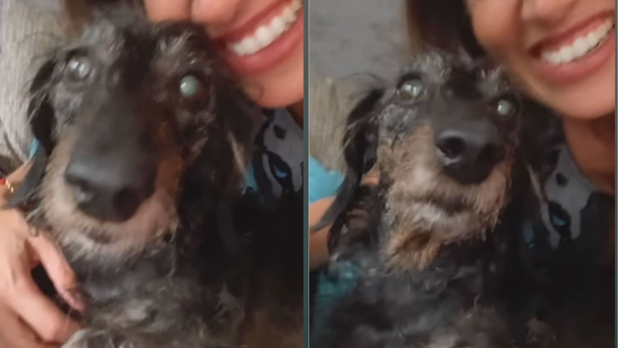 Yamila Reyna | Instagram