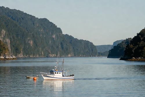 Hundimiento en el Estuario de Reloncaví: Salmones Austral confirma que tripulación descansaba al momento del accidente