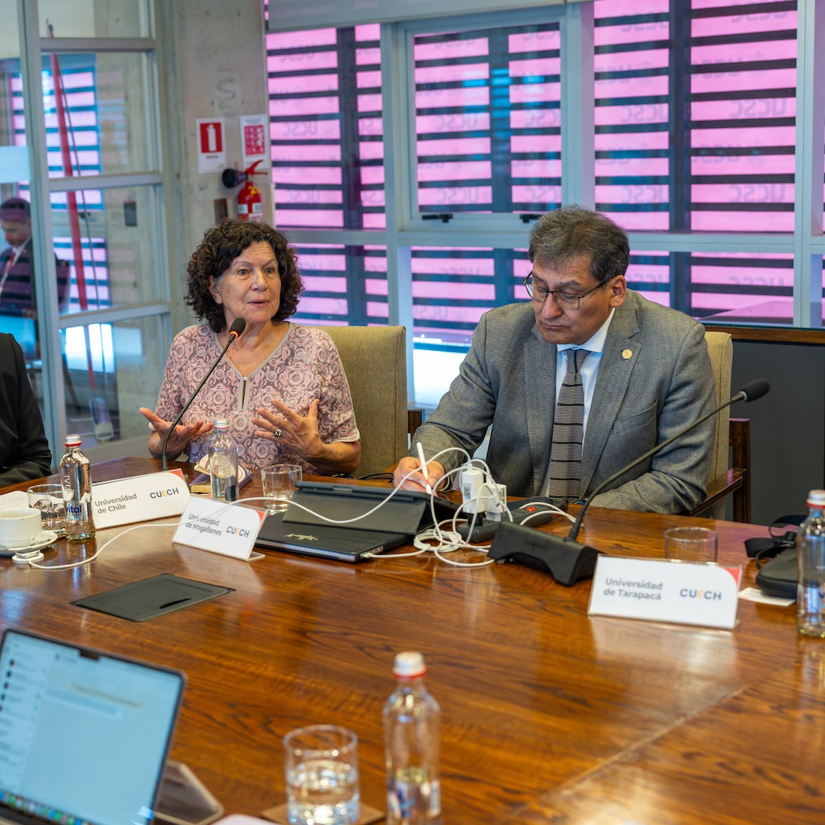 Avance de Comisión Verdad y Niñez con apoyo de Universidades del CUECH Avance de Comisión Verdad y Niñez con apoyo de Universidades del CUECH