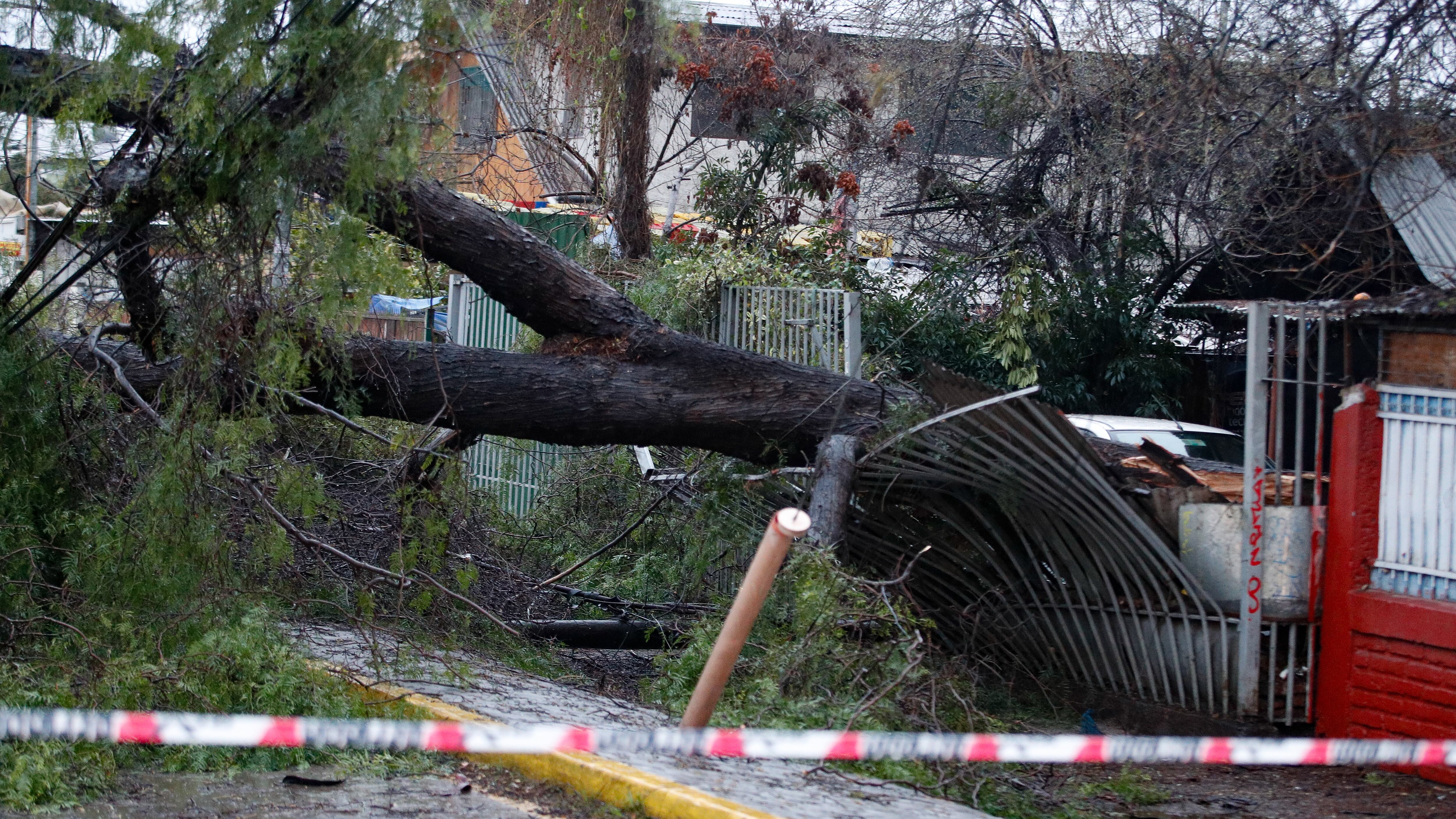 Estragos del sistema frontal en la RM