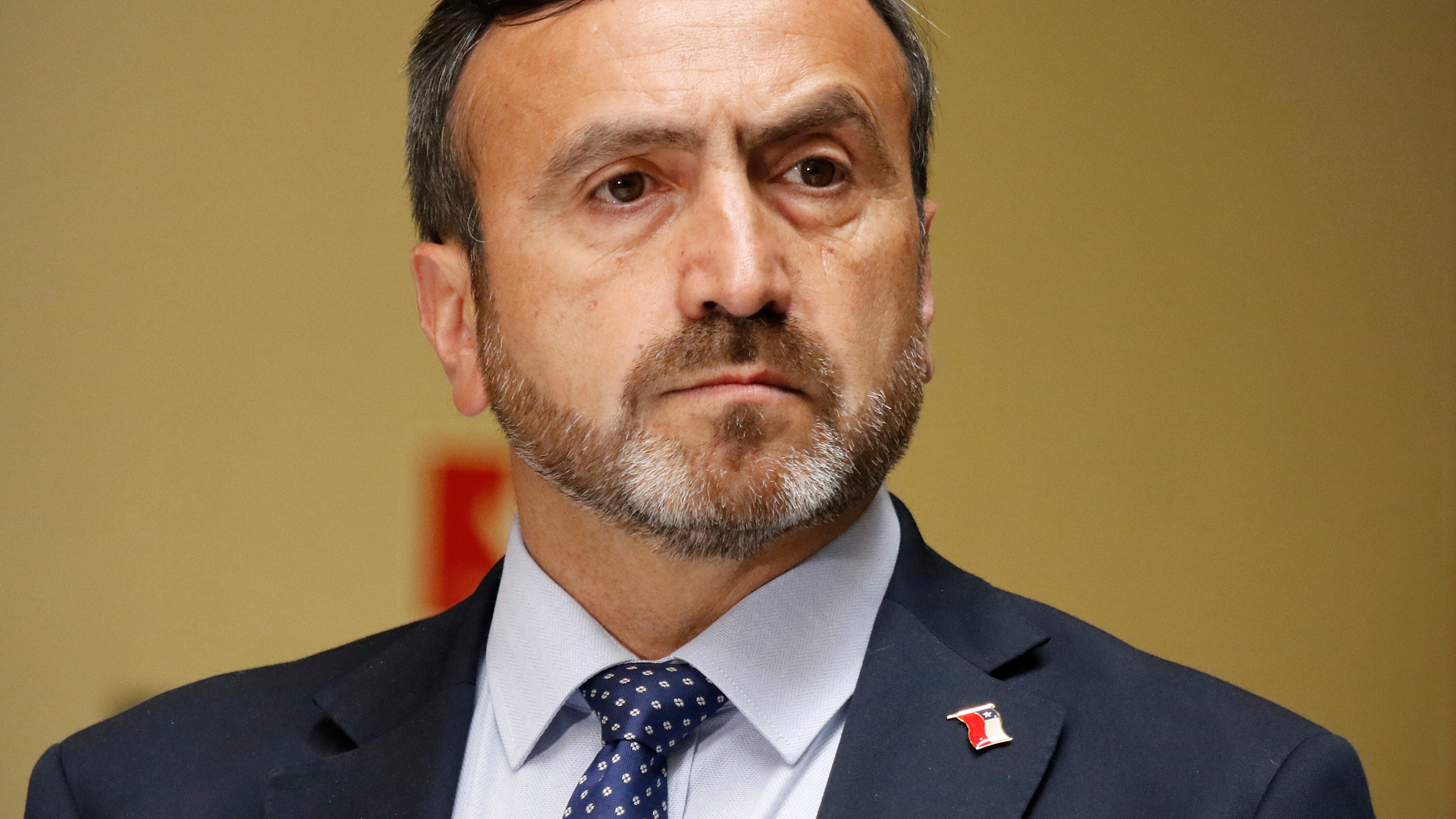 Diputado Francisco Pulgar.