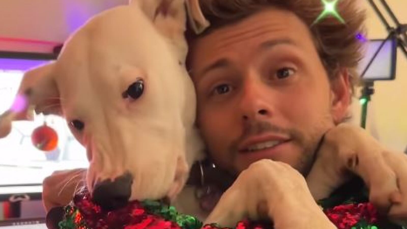 Por suerte reaccionó rápido, sino no la cuenta dos veces. Joaquín Méndez pasó el susto de su vida, luego que su perrita Mila consumiera veneno para ratas que había en un rincón del edificio donde viven.
Así lo contó el animador de Mega, quien tuvo que actuar con rapidez para salvar la vida de su mascota, luego que su curiosidad la llevara a comer la mortal dosis.
“Hace dos semanas estábamos en nuestro estacionamiento, bajamos a Mila del auto y de repente vimos que tenía algo en la boca. Era veneno para ratas”, consignó Mega.
Tras ello, explicó qué es lo que se debe hacer en caso de emergencia.
“Lo que tienen que hacer rápidamente es llevarla al hospital, al veterinario… le van a hacer un lavado de estómago hasta que vomite ese pedazo que se tragó. Luego le van a poner vitamina K durante dos semanas, y con eso ya pueden zafar”, contó a sus seguidores.
Además, manifestó su molestia contra la administración del edificio, puesto que su perrita podría haber sufrido hemorragias internas y luego la muerte.
“Yo me enojé con el edificio porque ¿Cómo puede estar eso tirado ahí, al lado del auto, fuera de eso un tubo de PVC?”, señaló indignado.
Finalmente, lamentó que no llegó a ningún acuerdo reparatorio con el edificio, quienes no se hicieron responsable por lo ocurrido, por lo cual pidió a ayuda a sus seguidores para que lo asesoren, agregó el citado medio.