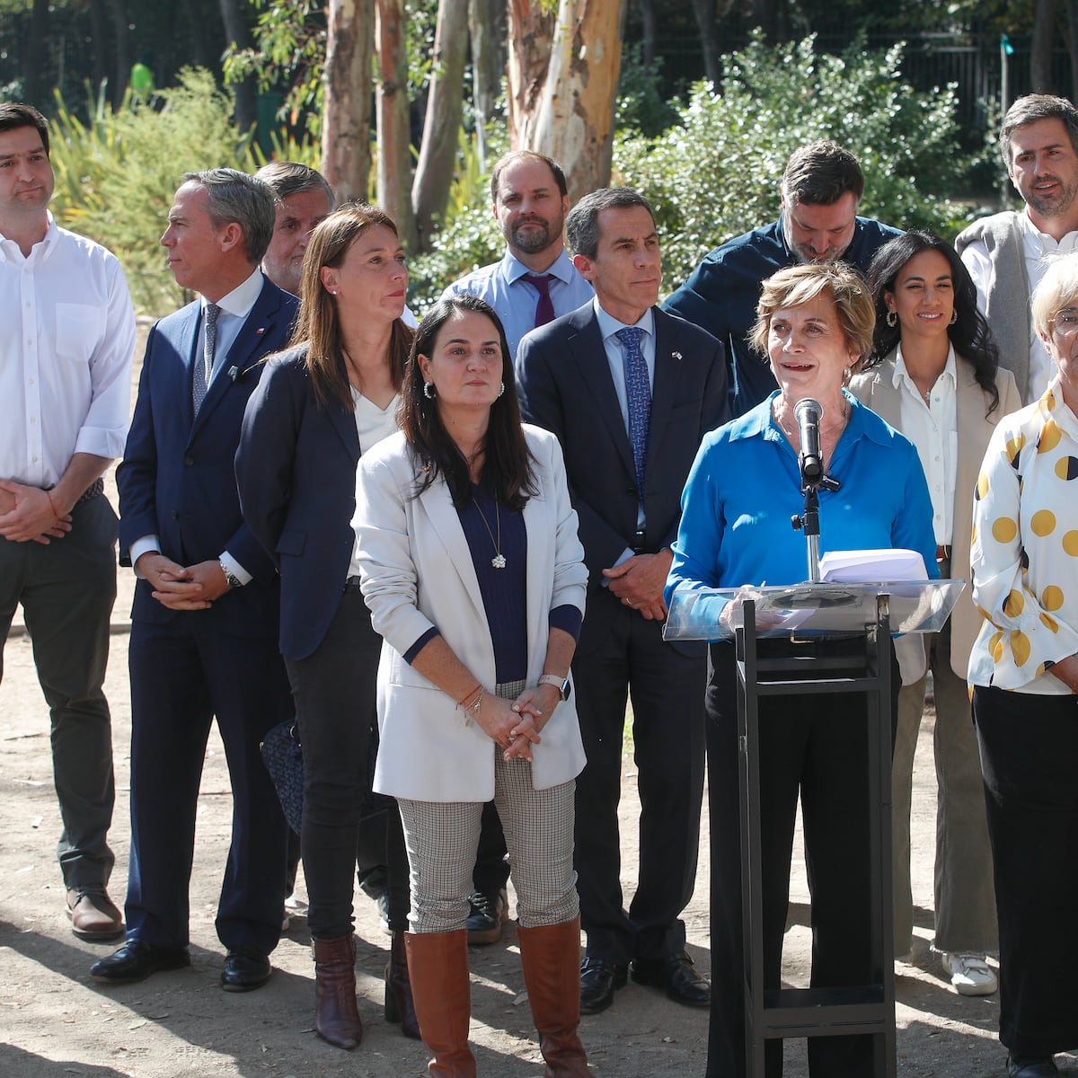 Matthei nombra voceros de campaña por desgaste Matthei nombra voceros de campaña por desgaste