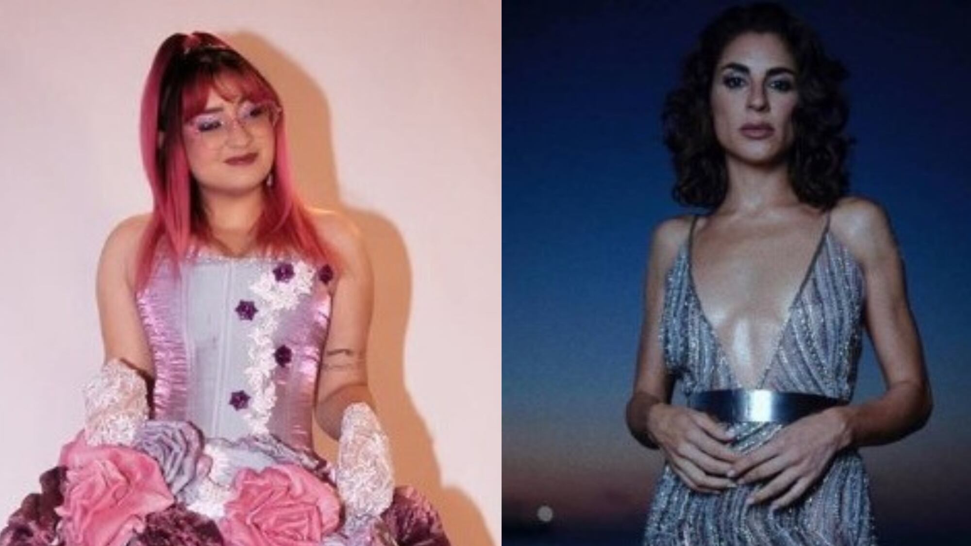 “Me empujó y me pisó”: Activista denunció malos tratos por parte de Carmen Zabala en la alfombra roja de Viña