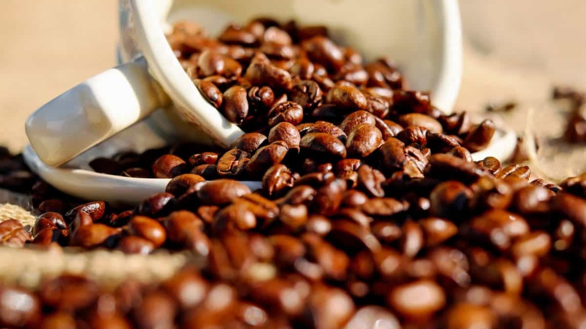 Los científicos están explorando una conexión inesperada entre la cafeína cotidiana y los tratamientos médicos de vanguardia. Foto: Freepik.