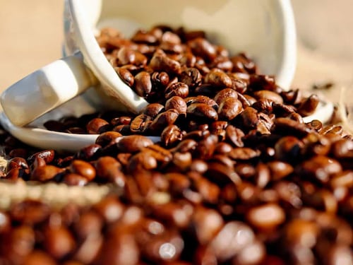 Tu café matutino podría ayudar a combatir el cáncer