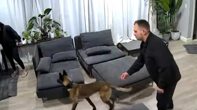 El video se viralizó