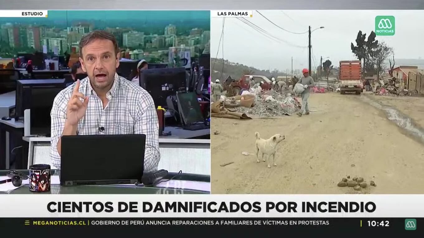 Rodrigo Sepúlveda | Captura: Mega