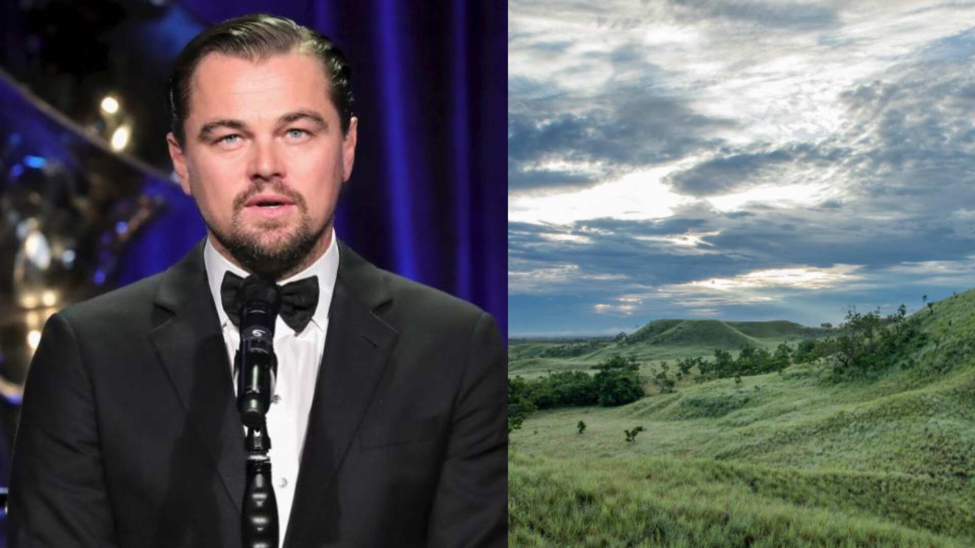 Leonardo Di Caprio dedicó una publicación en redes a Colombia, resaltando lo mejor de su biodiversidad