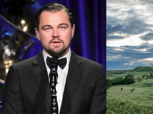 Leonardo Di Caprio dedicó una publicación en redes a Colombia, resaltando lo mejor de su biodiversidad