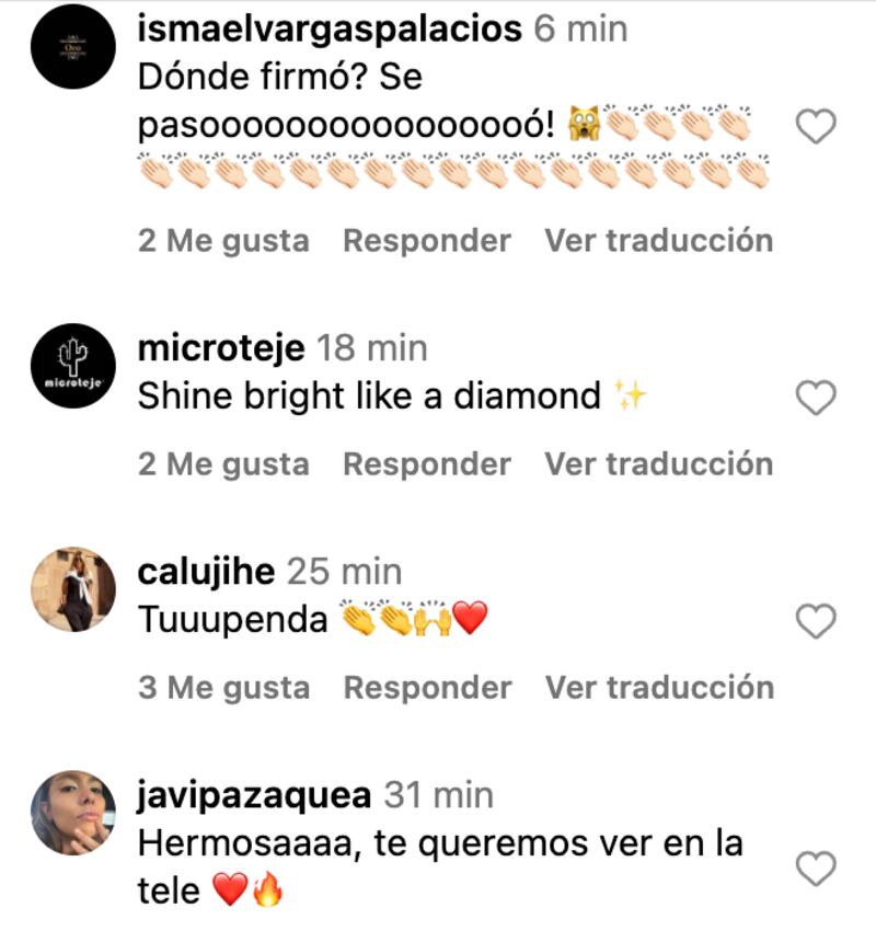 Comentarios sobre Tonka Tomicic | Captura: Instagram