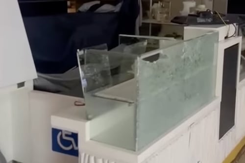 “Quedamos completamente quebrados”: dueño de tienda saqueada en mall Plaza Norte hace fuerte descargo