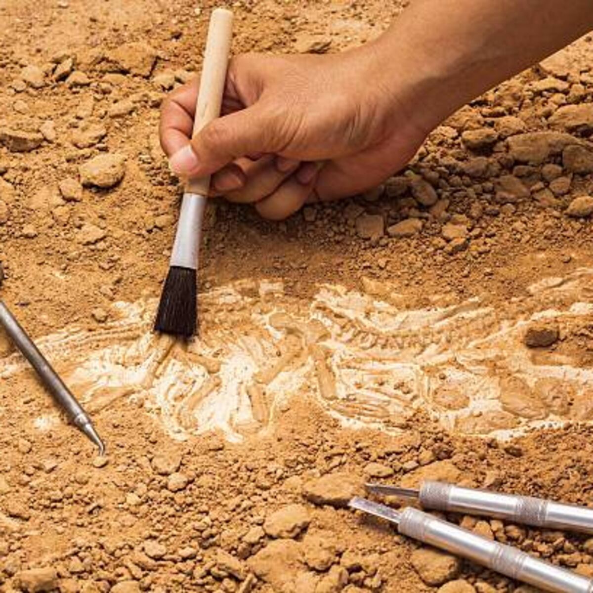 Niña halla talismán egipcio de 3.500 años en una montaña Niña halla talismán egipcio de 3.500 años en una montaña