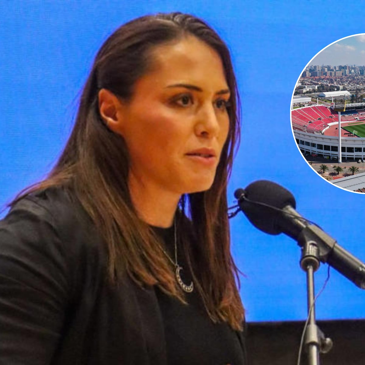 Ministra del deporte explica suspensión del Día del Patrimonio en Estadio Nacional Ministra del deporte explica suspensión del Día del Patrimonio en Estadio Nacional