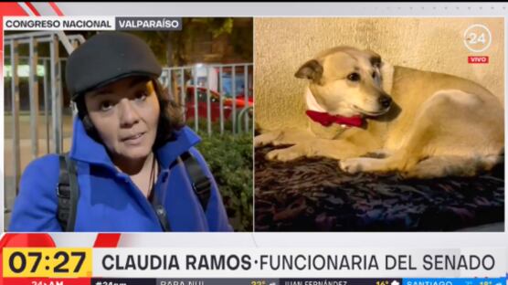 Perro con humitas en el Congreso