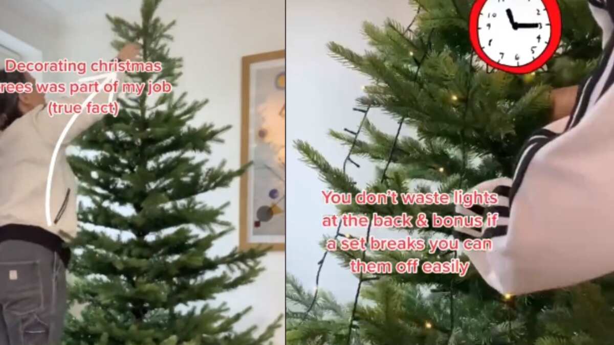 Truco viral de TikTok árboles de Navidad