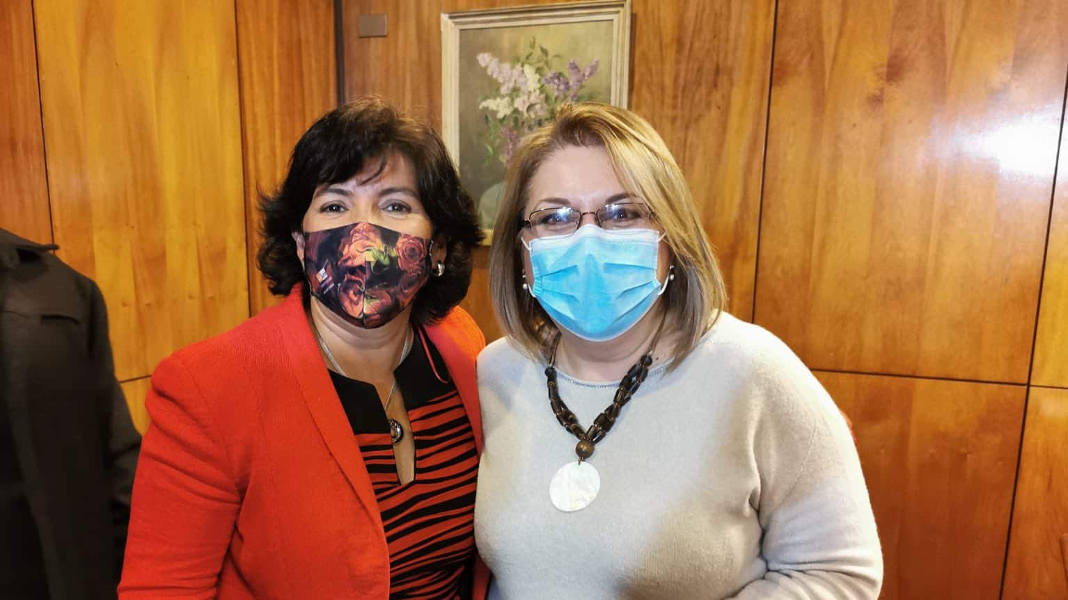 La diputada PPD Andrea Parra.