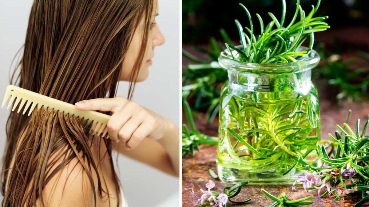 Agua de romero y otros usos para el cabello