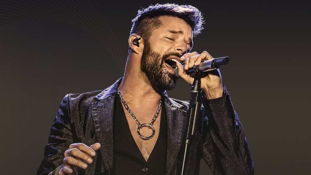 Ricky Martín y Max Barz estaban en Tailandia y compartieron una fotografía que desató muchas reacciones sobre un posible romance.