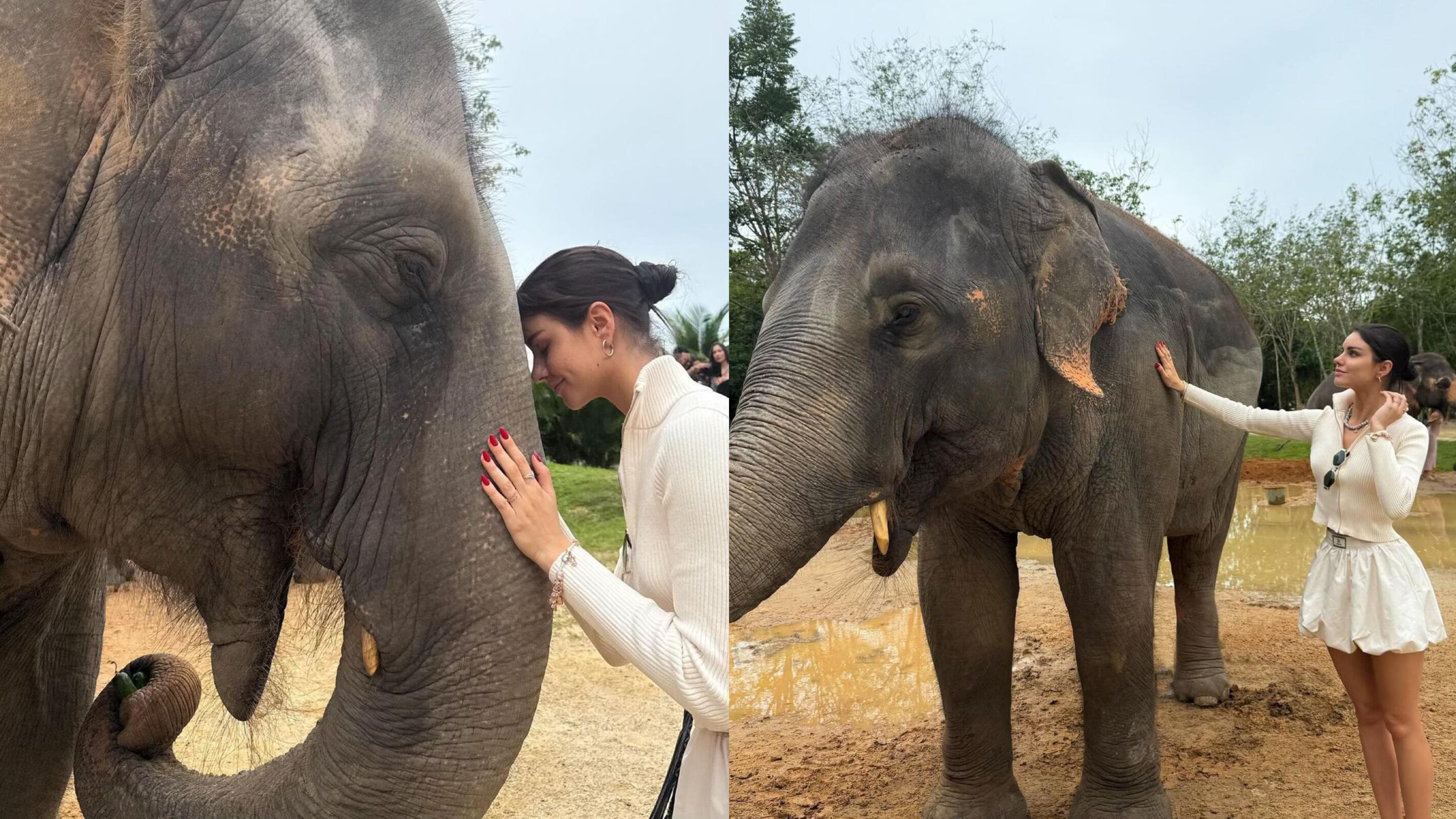 Emilia Dides en Tailandia con elefantes